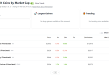 Wrapper Versions Of Friend.Tech Shares Added To Coingecko Categories