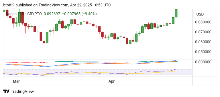 Kaspa (KAS) price jumps 13% to lead top gainers today