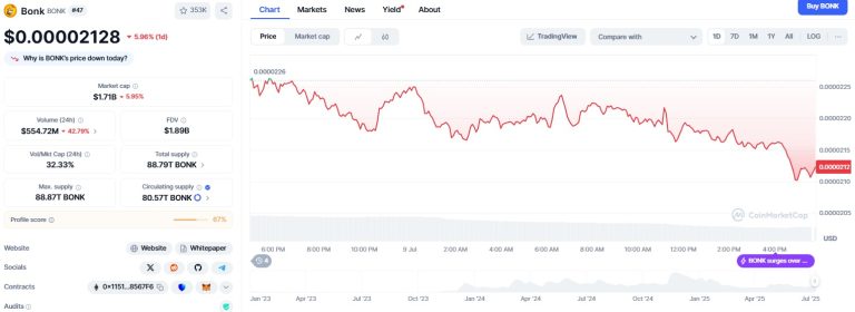 BONK price up 60% in 7 days: can the meme coin go higher?