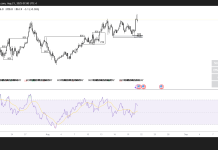 BNB price forecast: BNB sets a new ATH, targets $1k