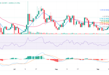 Fusionist (ACE) price outlook as it jumps 46%