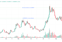 Nasdaq-listed Safety Shot launches BONK memecoin treasury-focused subsidiary