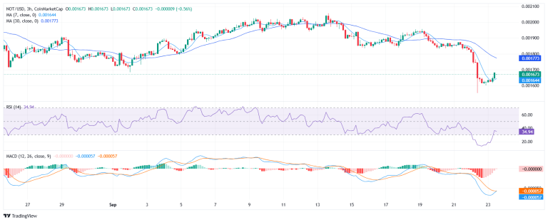 Notcoin price rebounds: oversold bounce or bear trap?