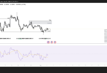 Sonic eyes $0.32 ahead of U.S. expansion; Check forecast