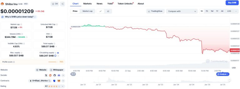 Shiba Inu price drops 6% as governance and DeFi plans advance