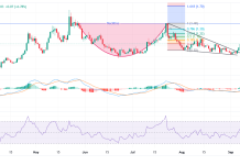 How high can the Worldcoin (WLD) price go after today’s 22% jump?