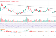 Shiba Inu price forecast: bulls eye breakout after deep accumulation