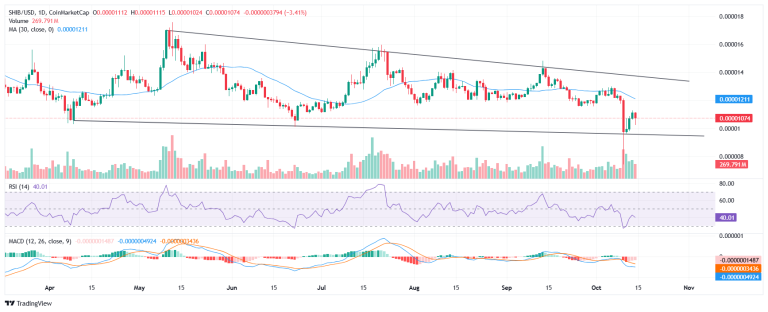 Shiba Inu price forecast: bulls eye breakout after deep accumulation