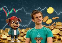 Vitalik Buterin Sells STRAYDOG as team starts to accumulate and Plans a Future Burn