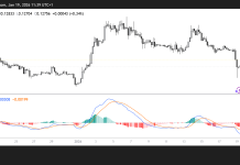 Will DOGE slip below $0.11 if selloff continues? Check forecast