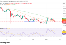 Shiba Inu faces critical support amid modest rally prospects