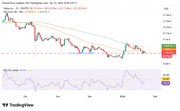 Shiba Inu faces critical support amid modest rally prospects