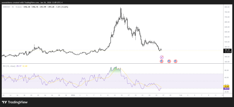 XRM could dip below the January low of $413: Check forecast
