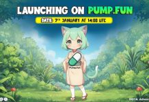 Hotako ($HOTA): The Meme Coin That Chooses Strategy Over Short-Term Hype Launching on Pump.fun – Jan 7 at 14:00 UTC