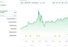 Here’s why SIREN memecoin is up 89% today