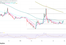 Pi Network price outlook amid Protocol 22 upgrade, ahead of the May Protocol 23 upgrade