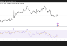 Dogecoin extends recovery as meme coins regain momentum