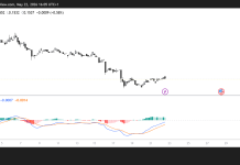 Pi Network holds above $0.1500 as exchange outflows hint at recovery