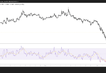 XRP climbs above $1.15 as derivatives activity improves despite market fear