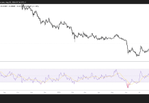 Cardano whales buy the dip as ADA reclaims $0.211