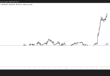 Breaking: Bitcoin hits $80k for the first time since May as rally continues