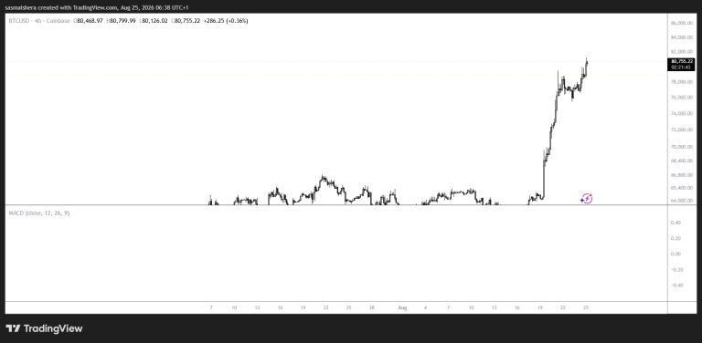 Breaking: Bitcoin hits $80k for the first time since May as rally continues
