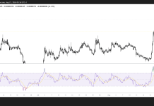 Pepe price rallies 25% as whale demand and futures interest surge