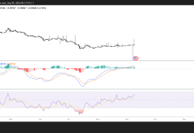 Pi recovers above $0.098 as developer push supports utility