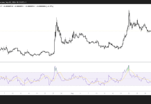 Shiba Inu holds above key support as whale selling raises downside risk